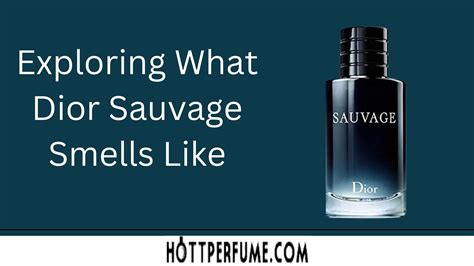 scents like sauvage|what aftershave smells like sauvage.